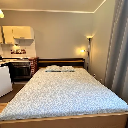 Appartement 125 In The Center Of Payment In Cash Katowice